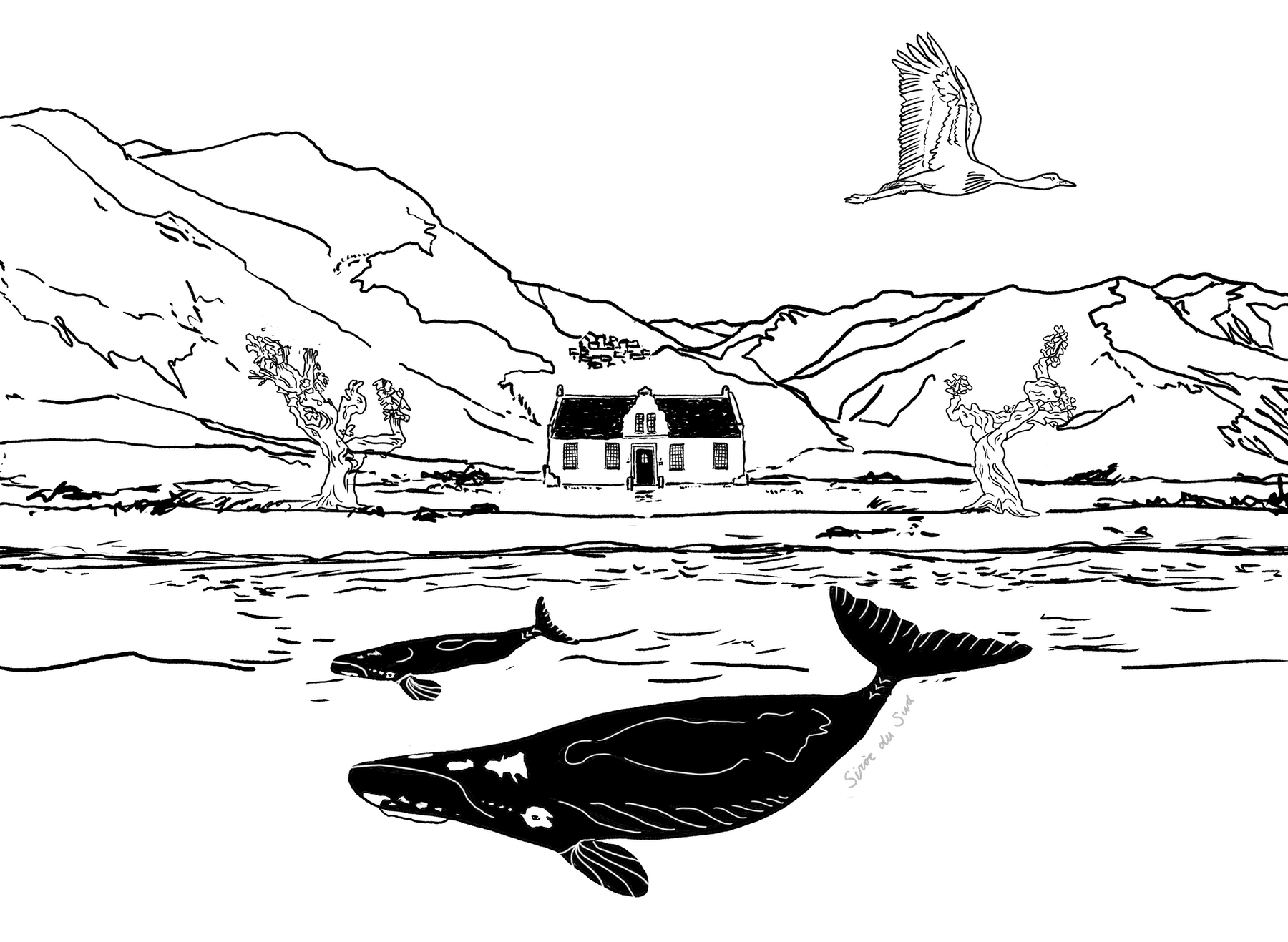 South Africa Tasting illustration